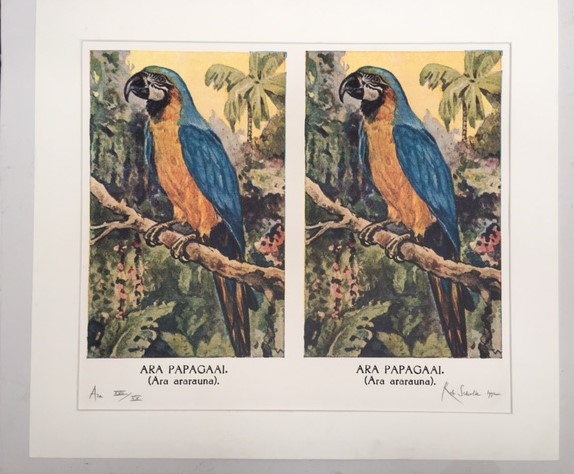 Ara-Papagaai-signed-Silked-screen