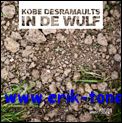 In de Wulf, Kobe Desramaults, chef van ?In de Wulf? in Dranouter en medeoprichter van Flemish Foodies brengt opmerkelijke gerechten - Kobe Desramaults, Annick Vansevenant